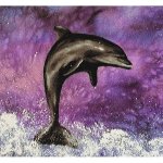 (image for) Dolphin